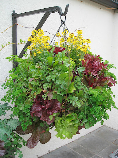 Now that's a hanging basket! And all edibles, too. Thank goodness there's such a sturdy hook!