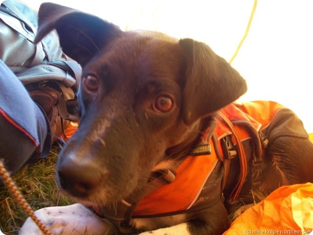 lucky lunches in the big orange bag thingy