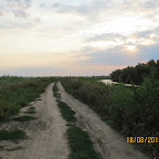 IMG_8178.JPG