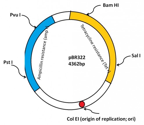[pbr%2520322%255B6%255D.jpg]