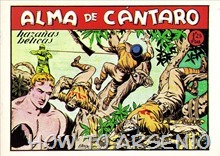 P00028 - Alma de Cántaro #28 P00028 - Alma de Cántaro #28