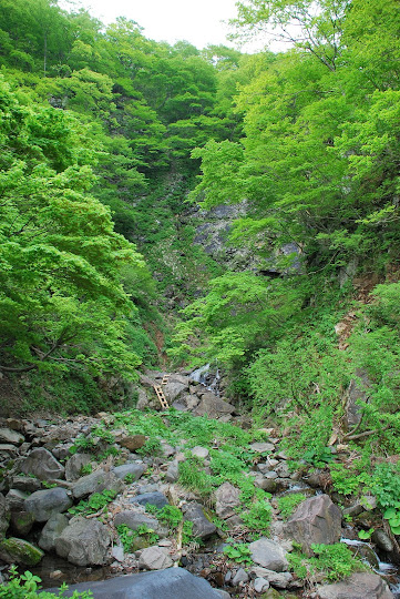 弁ヶ滝遊歩道