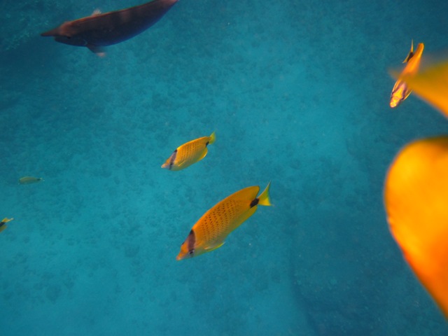 [IMG_3514%255B3%255D.jpg]