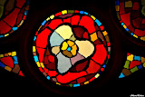 StainedWindows-0956.jpg