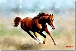 HORSE-PalleteKnife in Gimp by HaryArt HORSE-PalleteKnife in Gimp by HaryArt