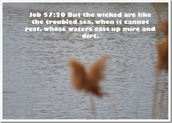 Troubled Water Troubled Water