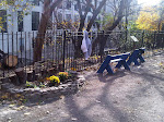 Schlobohm Picnic Area