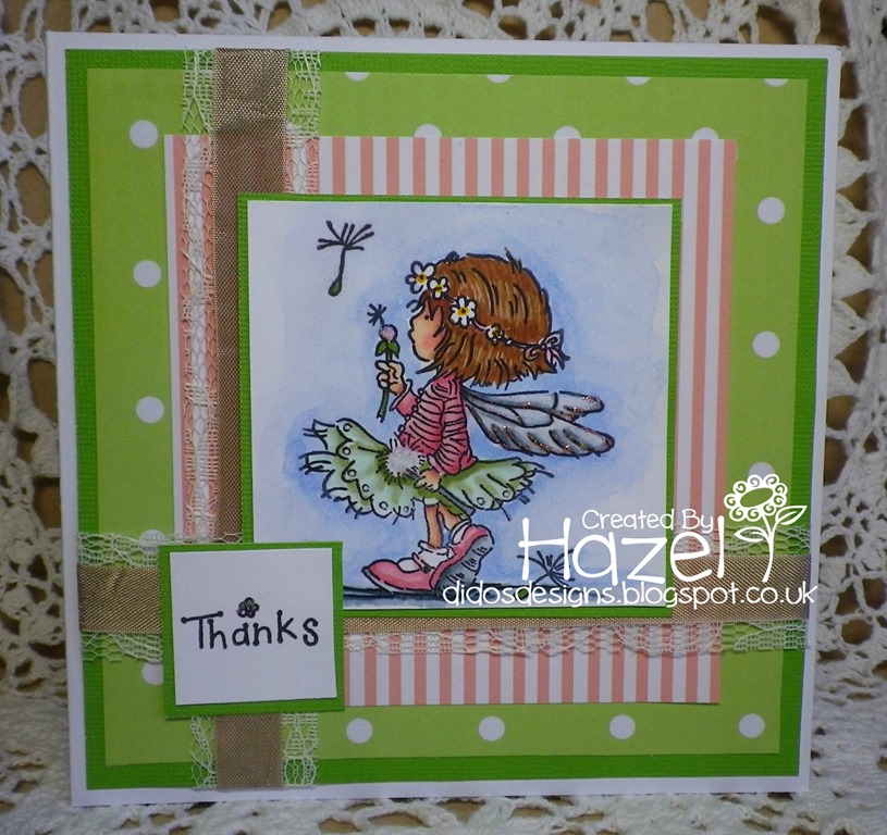 [hazel-PTW24.66.jpg]