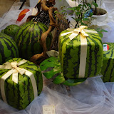 Finally got a picture of some square watermelons