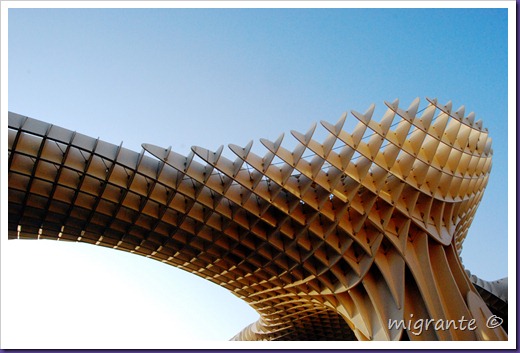 copas - pza de la encarnación - sevilla copas - pza de la encarnación - sevilla