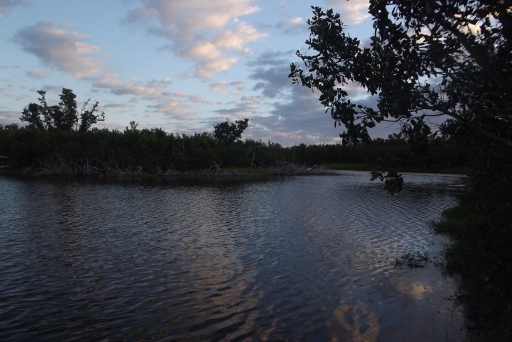 [AM-Everglades-Morning-173.jpg]