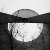 Cooling Tower Trees.jpg