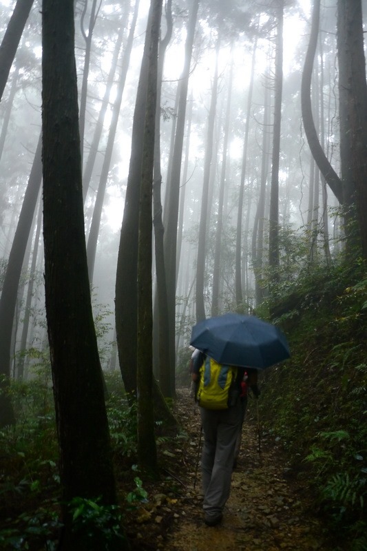 2013_0413 橫嶺山木馬古道_022