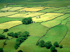 Sprachaufenthalt England