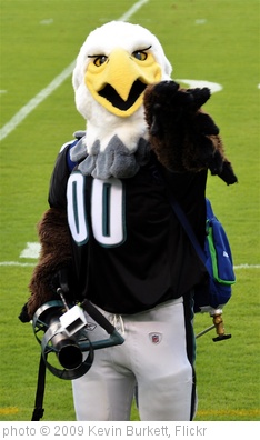 'Philadelphia Eagles Swoop' photo (c) 2009, Kevin Burkett - license: http://creativecommons.org/licenses/by-sa/2.0/
