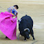 II_corrida_picassiana_07.JPG