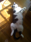 ... or lounge in the sun less?