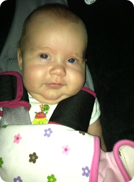 IMG_0666 IMG_0666