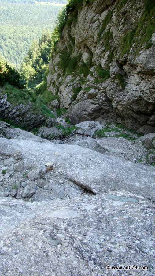 43.jpg 43.jpg