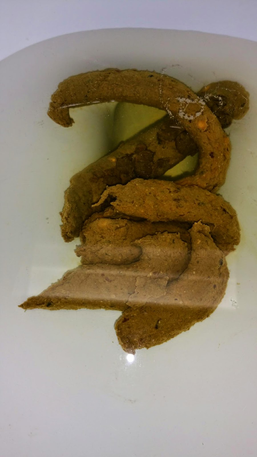 My Daily Poo January 2015