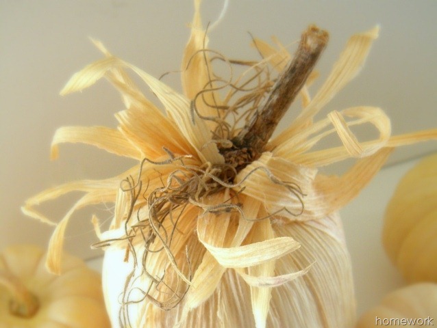 [Cornhusk-Pumpkin-410.jpg]