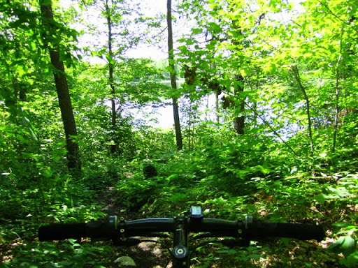 Rolling near south Twin. Woods are lush!