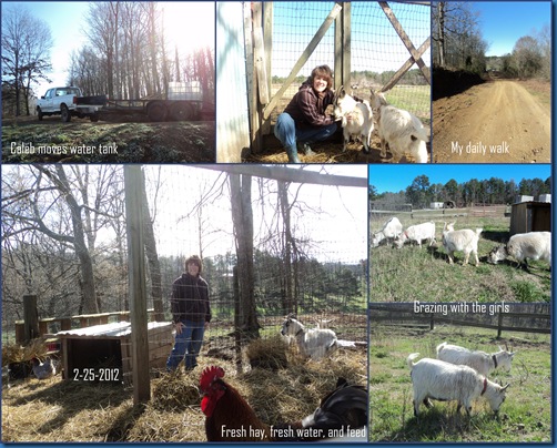 Farm girl