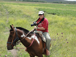 Dickface ate the thistle before she could hit the shutter. It was a tragedy on the Estancia.