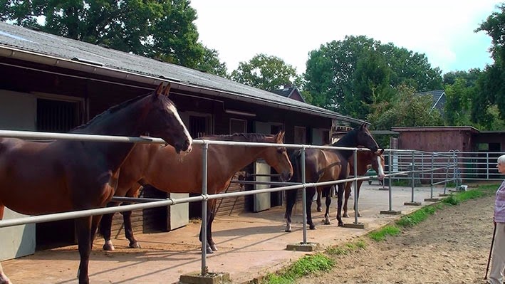 [20140905145400-%25281%2529%255B2%255D.jpg]