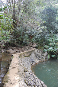 DSC_0698.jpg