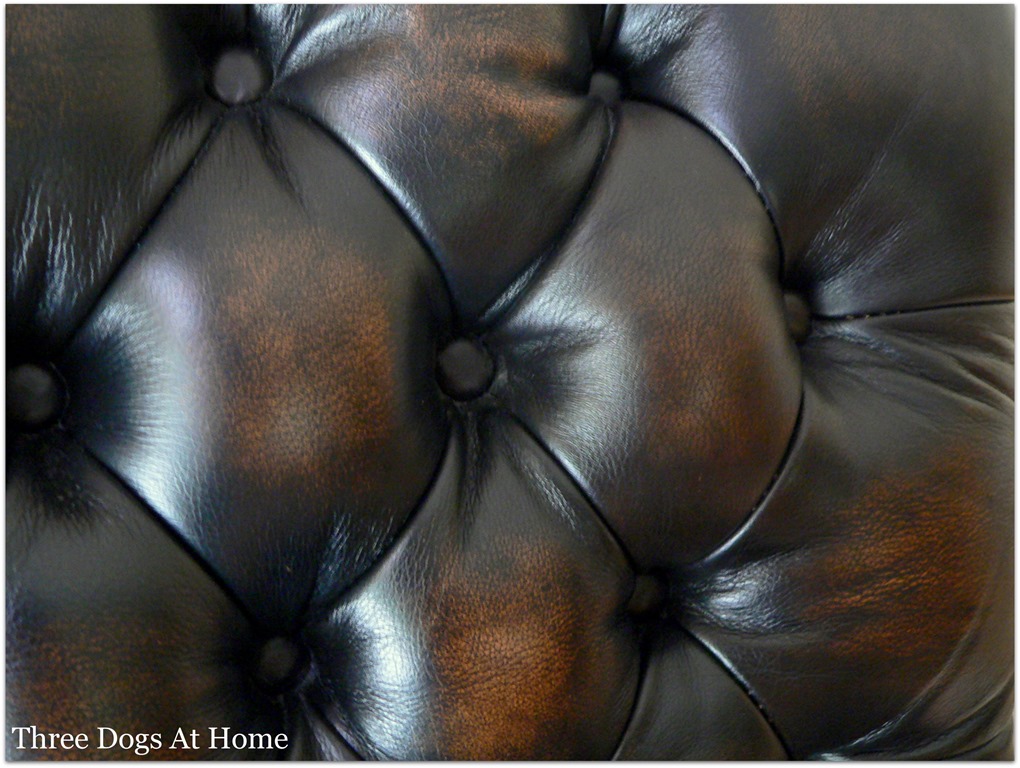 [vinyl-chair3.jpg]