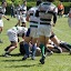 IMG_0820-20110520.JPG