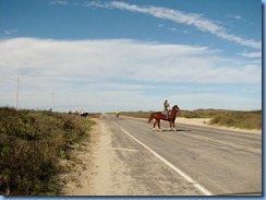 6024 Texas, South Padre Island - horseback riders crossing Padre Blvd