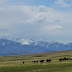 Nomads on the move on the plane of Archaly, Kyrgyzstan