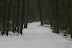  Winterhike: Fotos & Videos