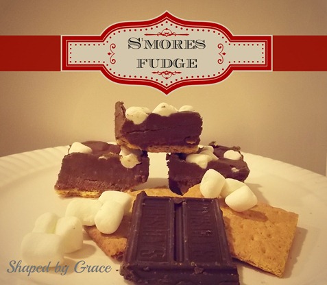 SmoresFudgeFinal SmoresFudgeFinal