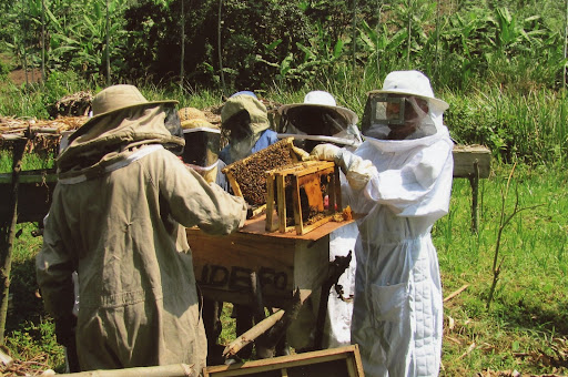 Gene Foley, right, shows farmers in rural Uganda what a queen bee is. (Photo provided by Gene Foley)