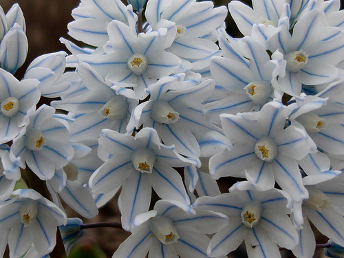 [image%255B21%255D.png]