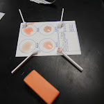eldon_card_setup_blood.JPG