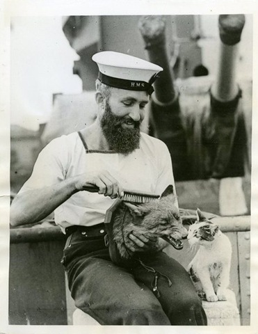 [strange-cats-expain-that-enhanced-buzz-5976-1334173015-40%255B2%255D.jpg]