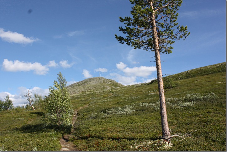 fjelltur 105