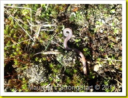 IMG_1093 IMG_1093