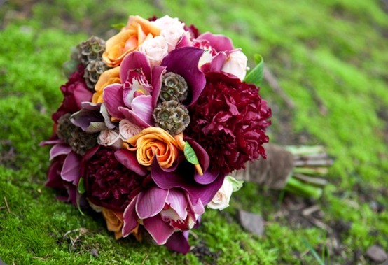 6a010535ded4be970c014e89a11d32970d just bloomed