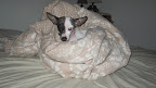 She recalls the days of needing to be bundled up for warmth!