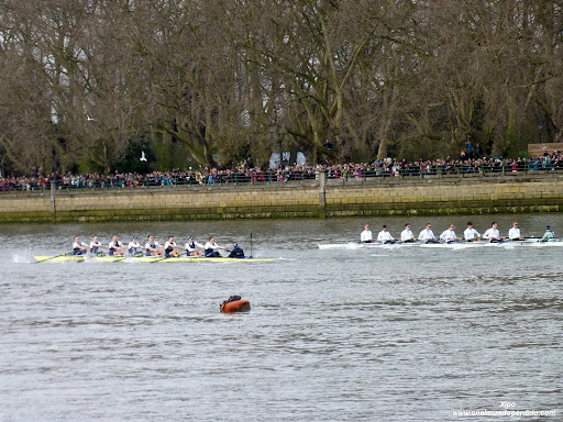 regata-oxford-cambridge-rio-tamesis-londres.JPG