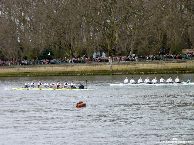 regata-oxford-y-cambridge-en-el-támesis.JPG