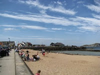 IMG_0207 IMG_0207