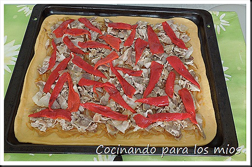 DSCN2051 DSCN2051