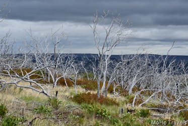 remnantws of the tool Box fire in 2002