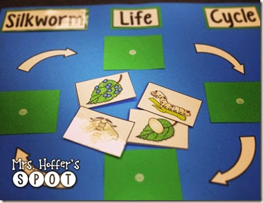 Making Interactive Life Cycle Posters